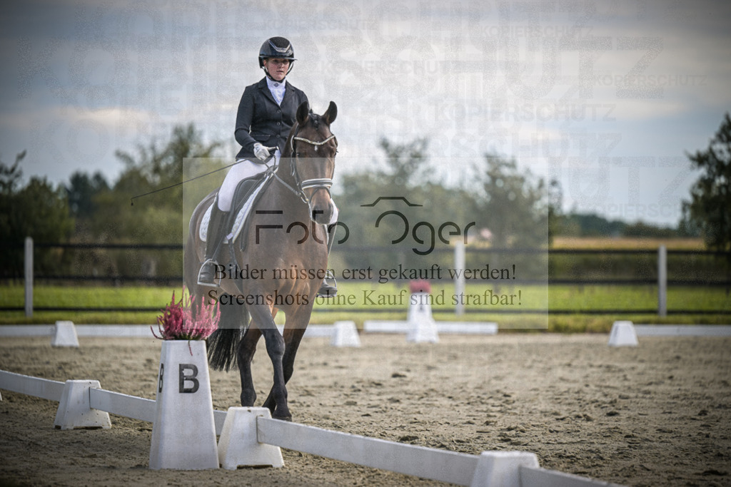 DOS_1496 | Entdecke hochwertige Reitturnierfotos von Foto Oger. Professionell, emotional und authentisch – jetzt Lieblingsmomente im Shop bestellen.Deutschlandweite Turnierfotografie. - Realisiert mit Pictrs.com