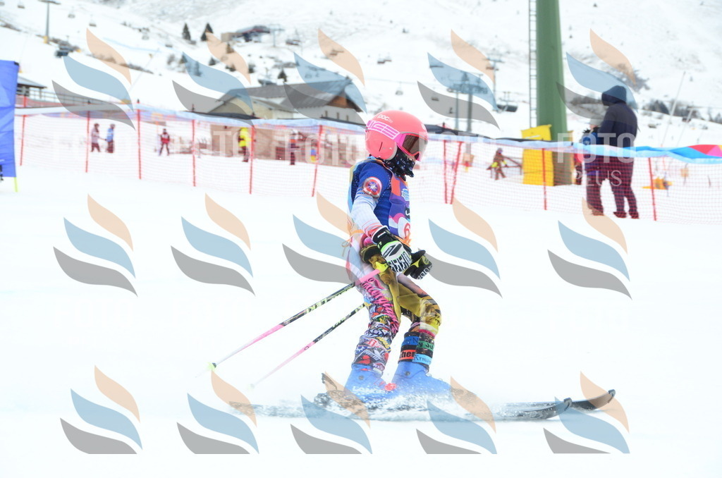 DSC_1044 | holidayphoto