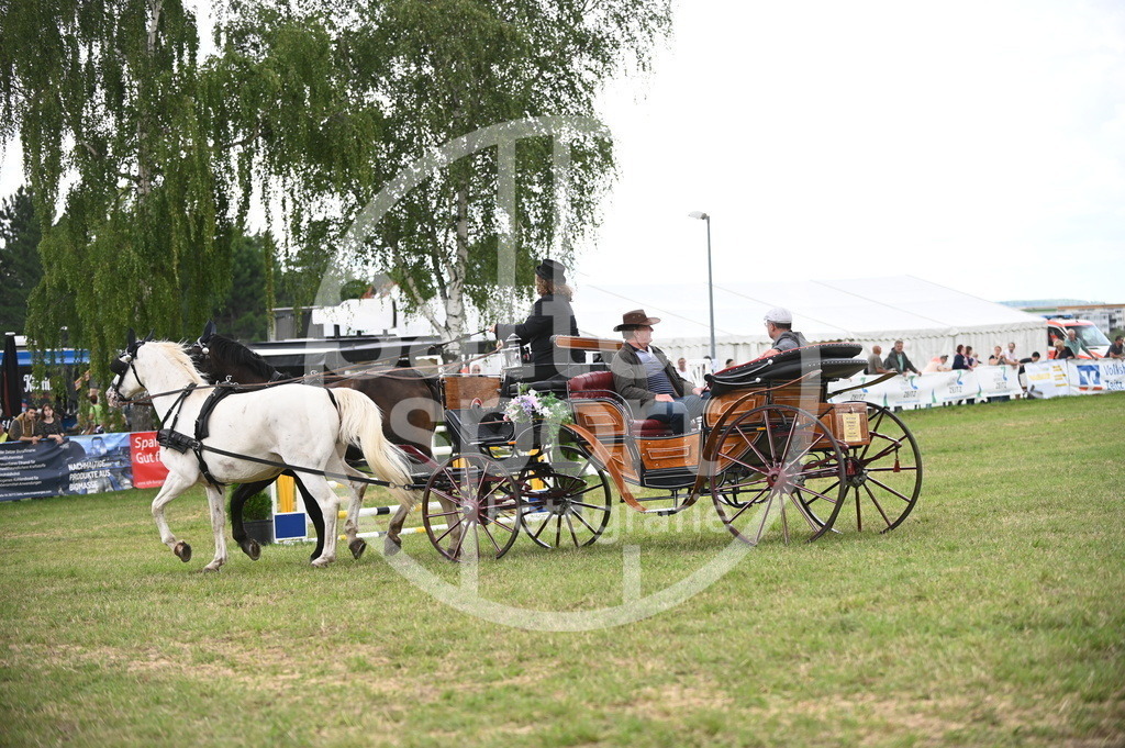 DSC_6685 | sattelsport - Realisiert mit Pictrs.com