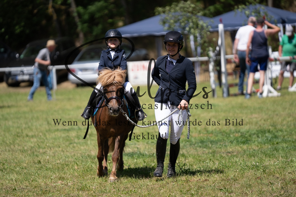 A7V06261 | Turnier/Reitfotograf