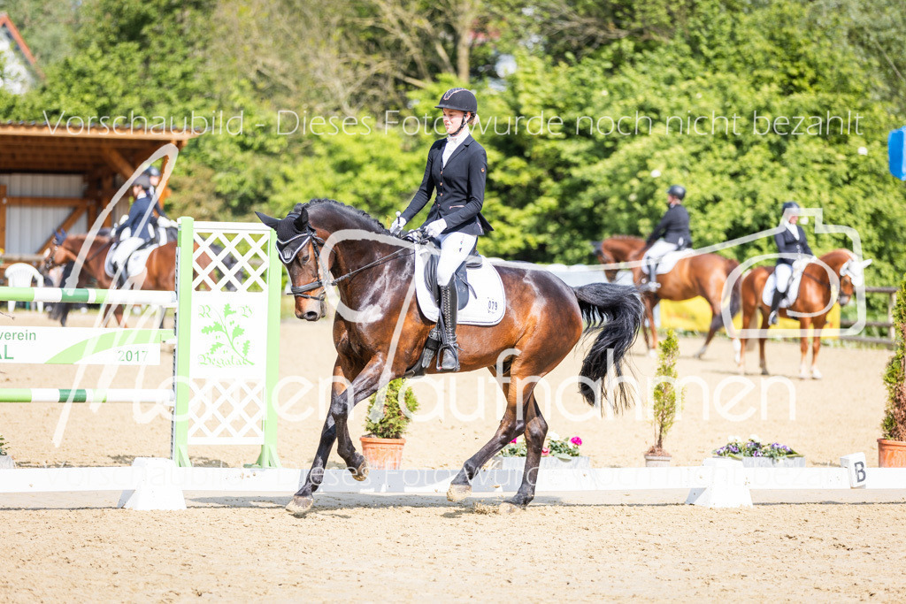 Donop24-A2-Dre-073 | MomenTaufnahmen Pferdesportfotos