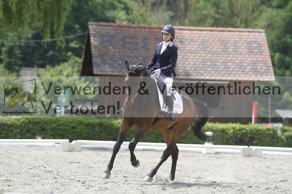_MG_9577 | equestrian-live-com