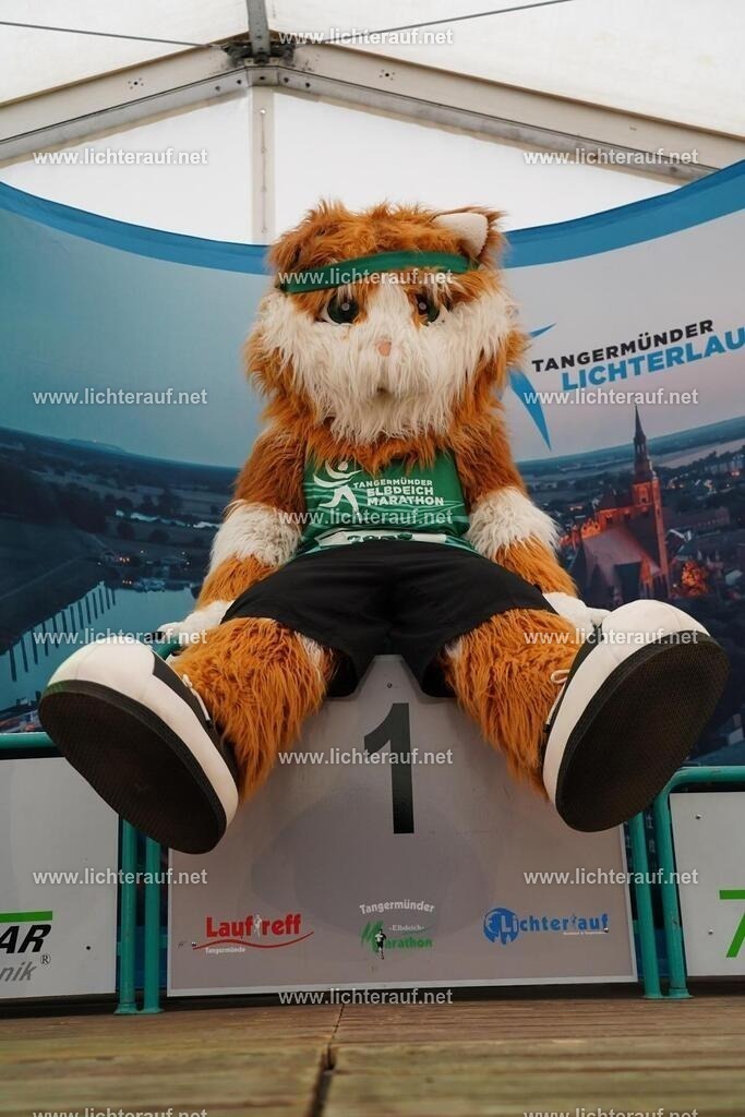 DSC05140 | Lichterlauf  - Realisiert mit Pictrs.com