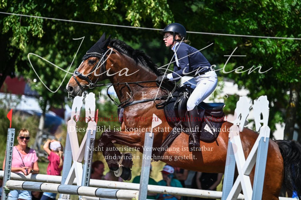 DSC_1530 | Pferde- und Turnierfotografie in Westsachsen. Pferdeportraits, Auftragszeichnungen und intuitive Kunst.