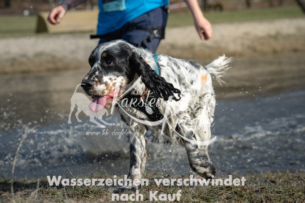 1326_ZZ96328 | kk-dogfotos