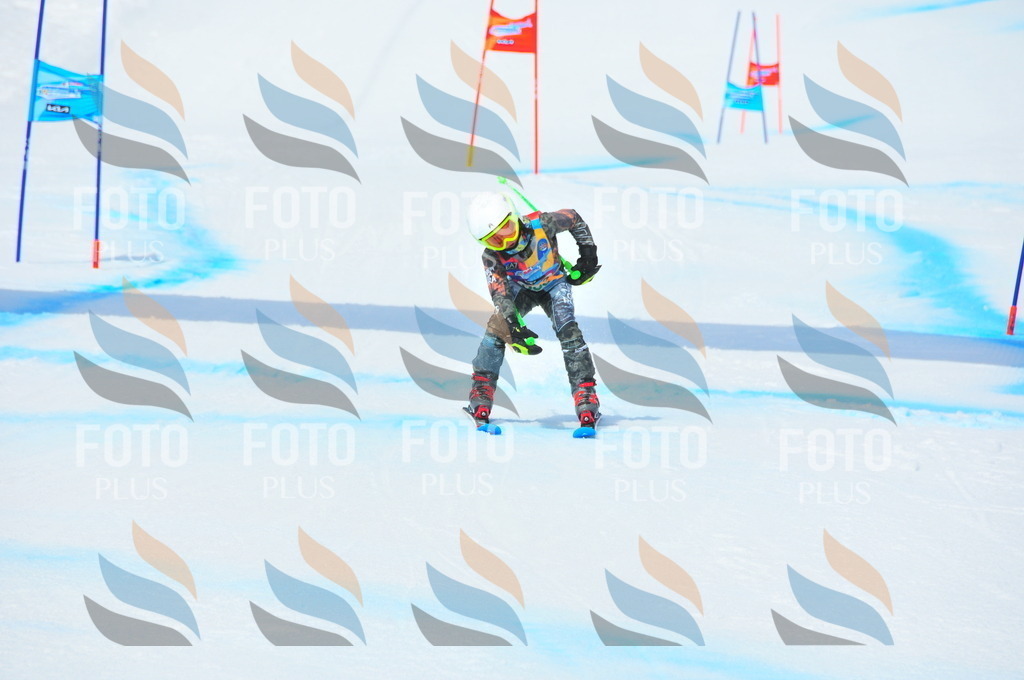 DSC_3173 | holidayphoto