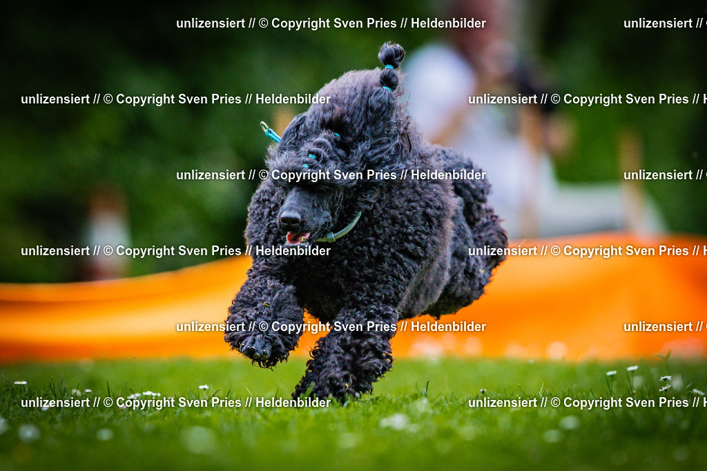 Sven Pries | 2025-05-29 - Pudelrennen KA-Durlach - Realisiert mit Pictrs.com