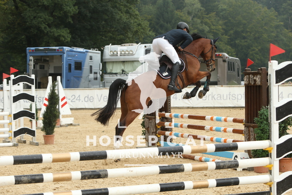 DL2Q6054 | Willkommen bei Brunnmayr - Design & Fotografie – Ihrem Spezialisten für Reitturniere und Pferdeveranstaltungen in Oberösterreich, Salzburg und Bayern! Seit über 17 Jahren sind wir leidenschaftlich dabei.