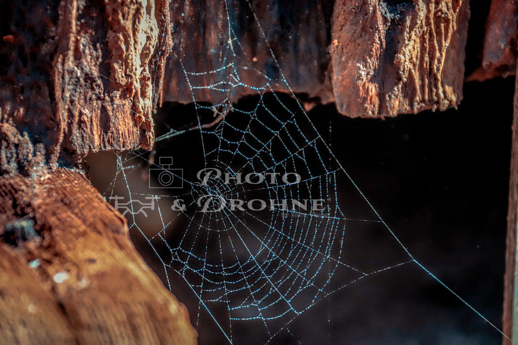 Spinnenwebe am Gradierwerk Bad Kreuznach-1676 | Spinnenwebe am Gradierwerk Bad Kreuznach - Realisiert mit Pictrs.com