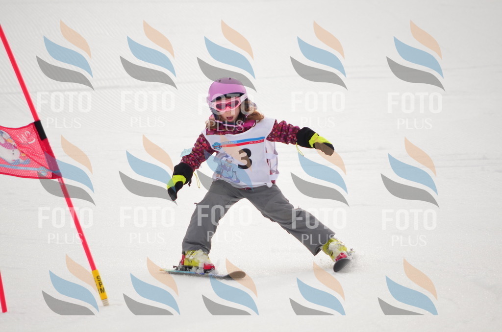 B9113 | holidayphoto