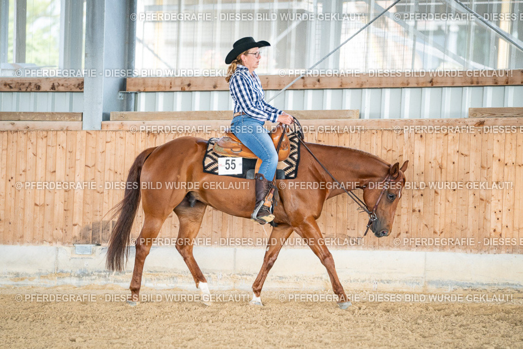 DSC08256 | Pferdegrafie