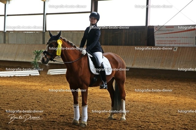 JugendTrophy0971 | Fotografie, Tiere, Hunde, Katzen, Pferde, Sportfotografie, Fotosession, Tierfotografie, Turnierfotografie, Fotografin, Fotograf - Realisiert mit Pictrs.com