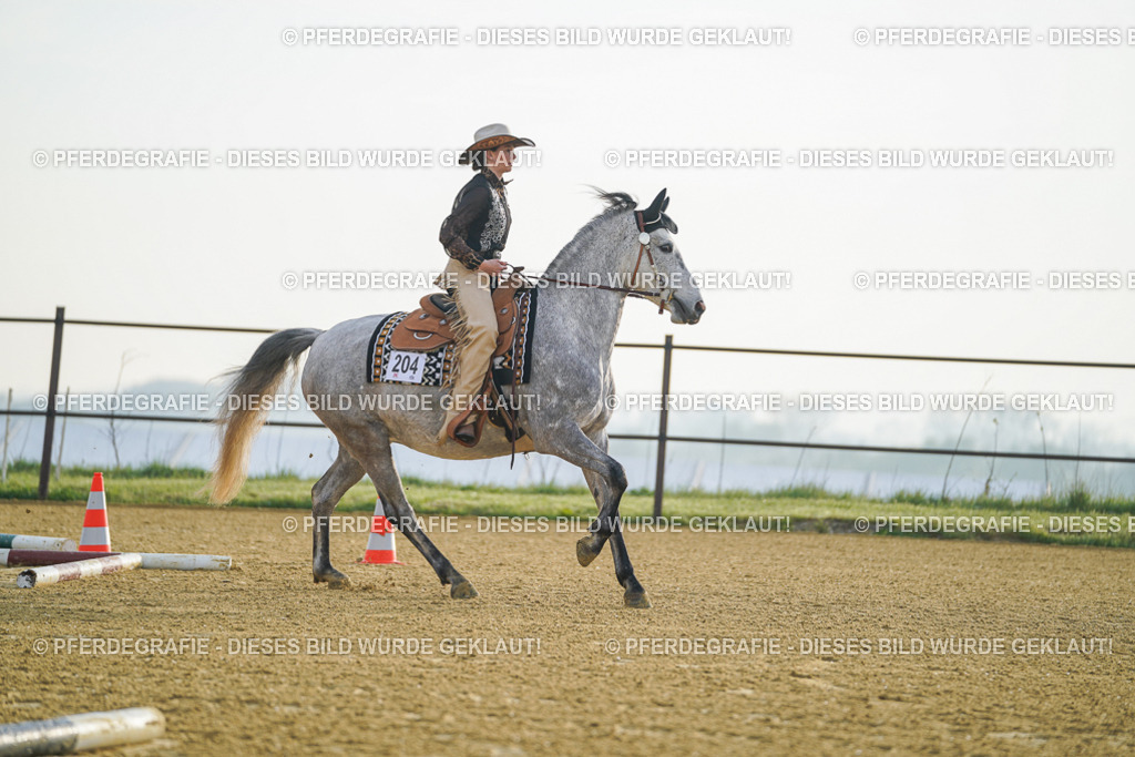 DSC09632 | Pferdegrafie