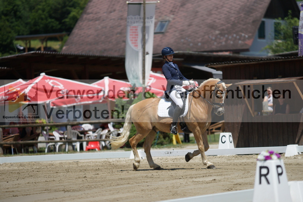 DSC03478 | equestrian-live-com