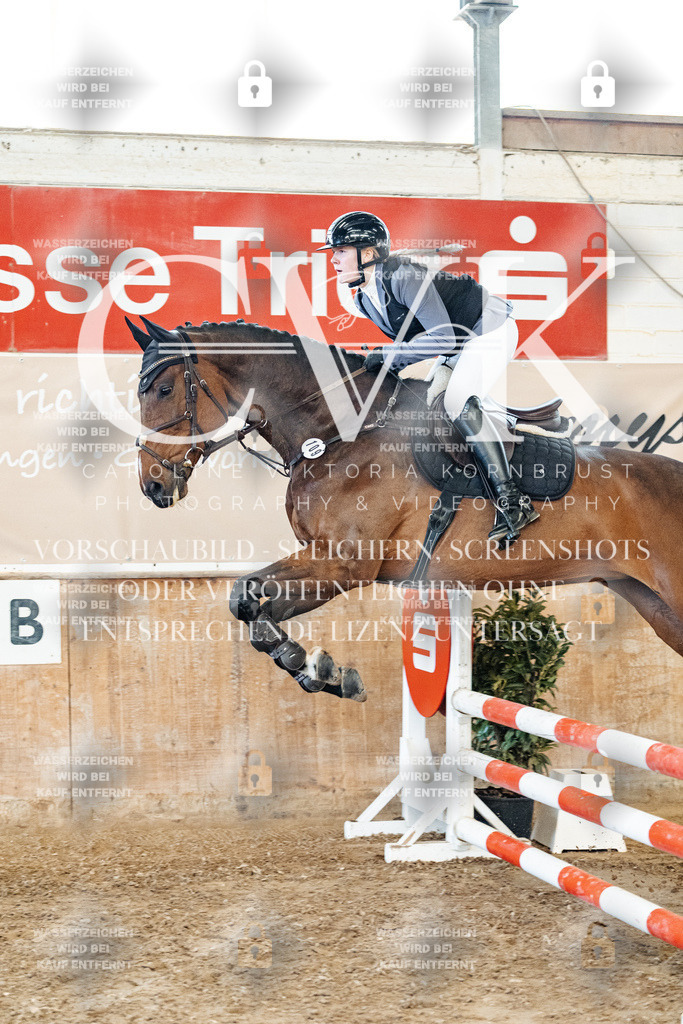 CK904633 | Turnierfotografie Pferdefotografie Trier Rheinland-Pfalz Pferdesport Reitsport Tierfotografie Sportfotografie Pferdevideo Pferdevideografie Equestrianvideography equestrianphotography  - Realized with Pictrs.com