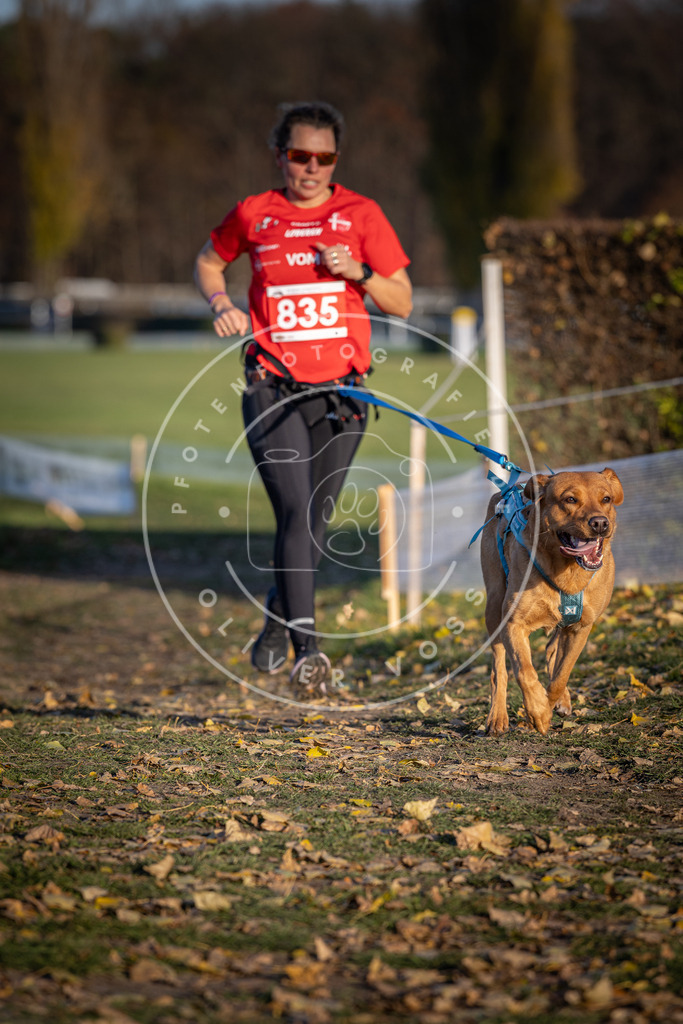 CaniXpix_DV3A3557 | Hundefotografie, Tierfotograf, Pfotenfotografie, Fotoshooting Hund, Hunde Portrait, Hundesport, Hundeportraits, Heideshooting, Hunde, Sportfotograf, Hundefotograf, Turnierhundsport, THS,  - Realisiert mit Pictrs.com