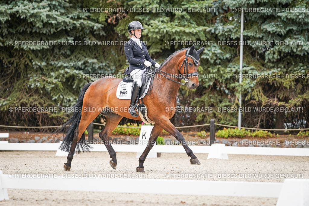 DSC08233 | Pferdegrafie