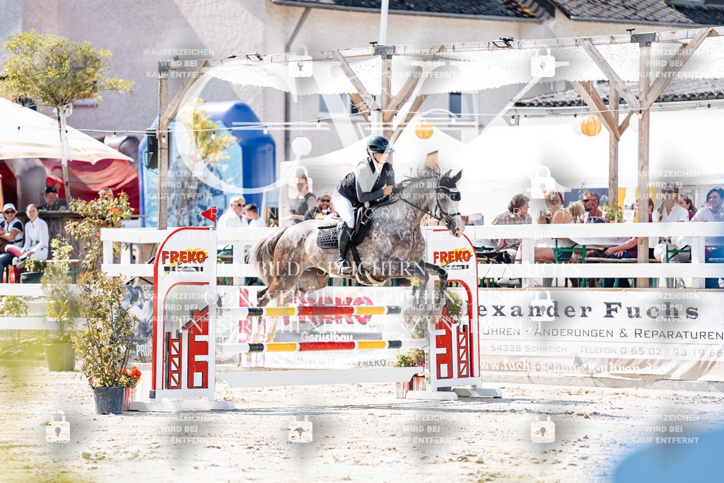 CK908563 | Turnierfotografie Pferdefotografie Trier Rheinland-Pfalz Pferdesport Reitsport Tierfotografie Sportfotografie Pferdevideo Pferdevideografie Equestrianvideography equestrianphotography  - Realisiert mit Pictrs.com