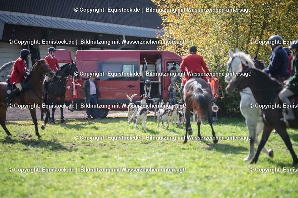 20251011_Jagd-Marbach_0138 | Foto: Thomas Hartig
