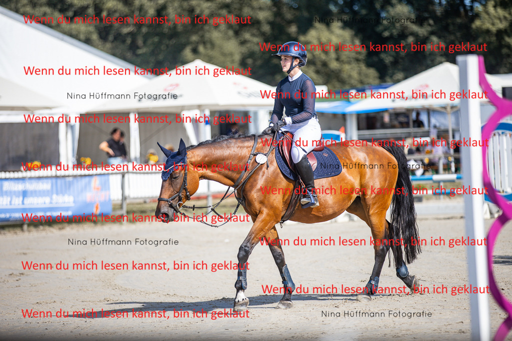 BK1A7007 | Turnierbilder Turnierfotos Nina Hüffmann Turnierfotografie Pferdefotografie Tierzeichnung Haustierzeichnung Pferdezeichnung Hundezeichnung Videograf  - Realisiert mit Pictrs.com