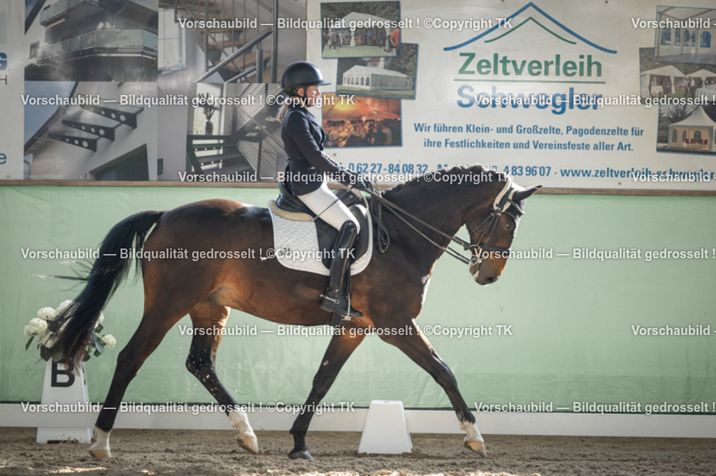 _D5A2780 | Emotionale Pferde- & People-Fotografie rund um Heidelberg, Leimen & Umgebung. Natürliche Fotos von Pferd, Mensch & Familie. Jetzt Termin sichern!