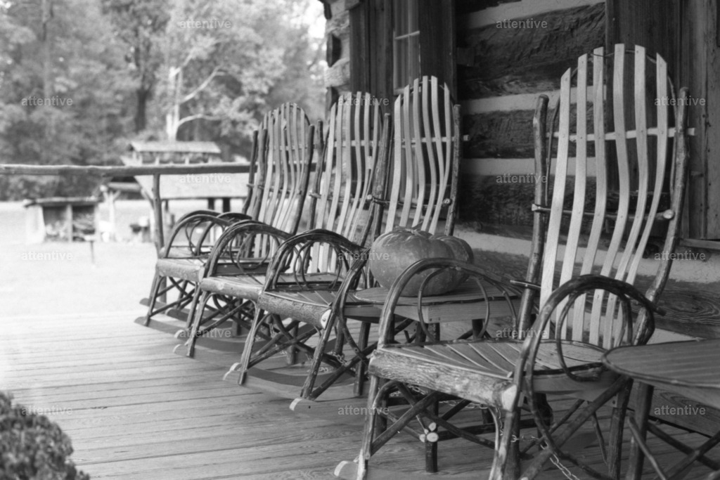 Kürbis | Natchez State Park, Mississippi, USA - Realisiert mit Pictrs.com