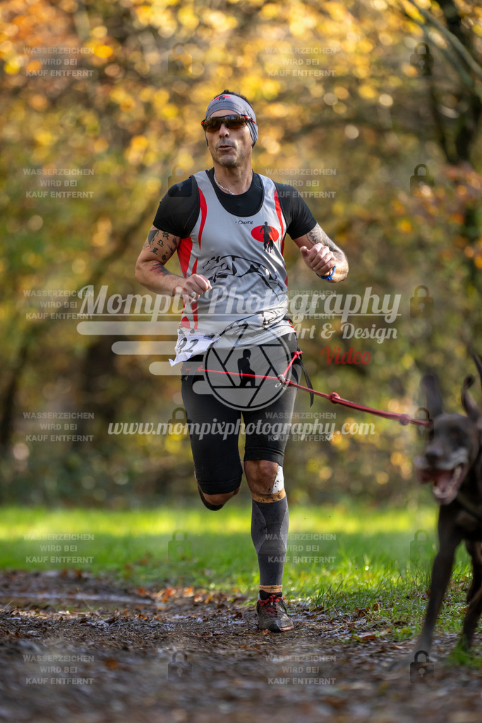 MompixPhotography_Bischwiller23_Canicross-19 | PayLife