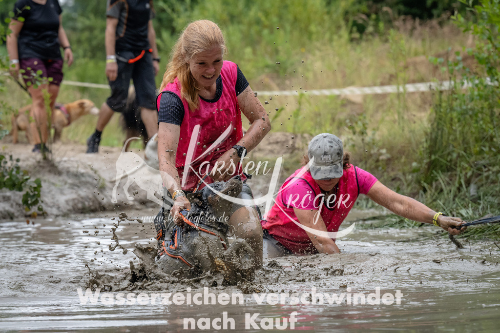 1340_ZZ91684 | kk-dogfotos