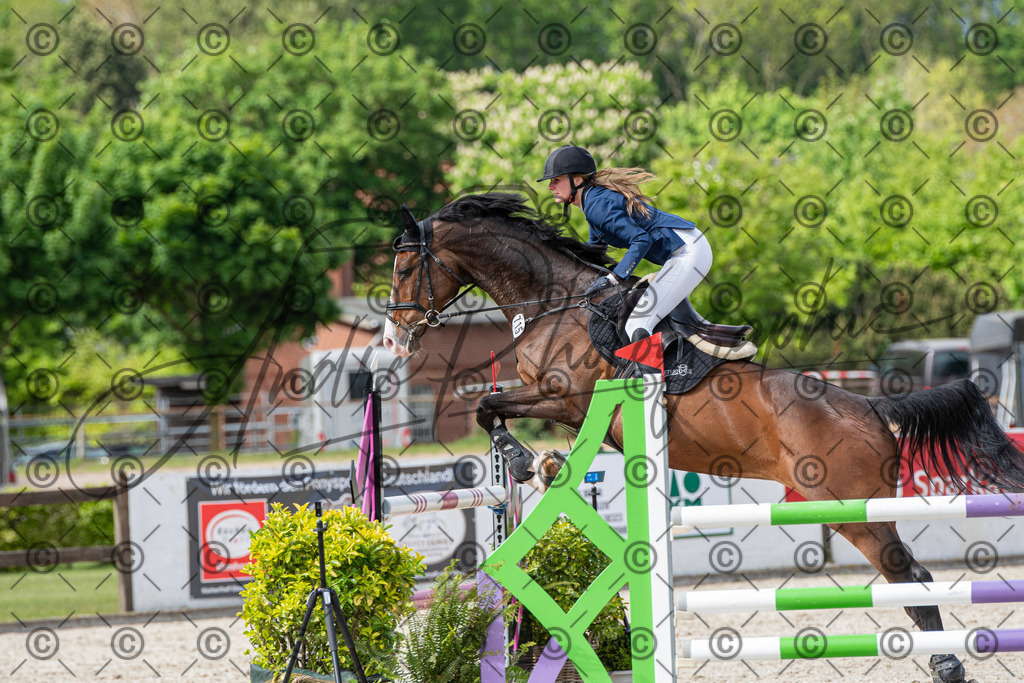 KPT_0215 | andre_photographic