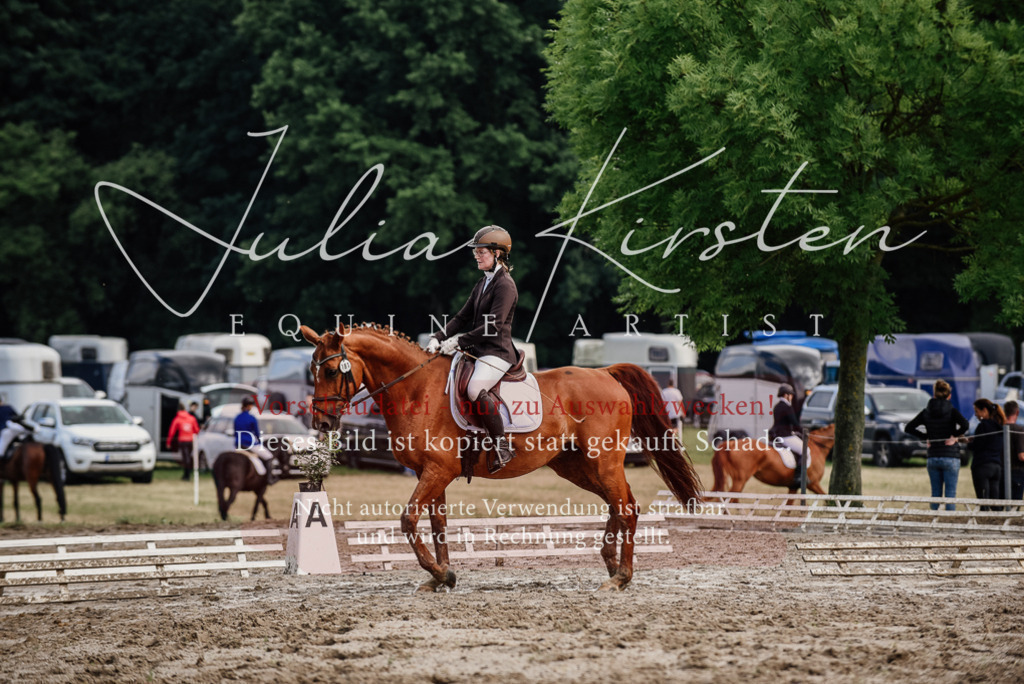 DSC_9689 | Pferde- und Turnierfotografie in Westsachsen. Pferdeportraits, Auftragszeichnungen und intuitive Kunst.