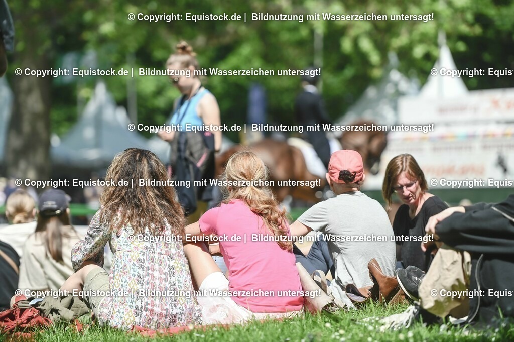 D78_2923 | equistock