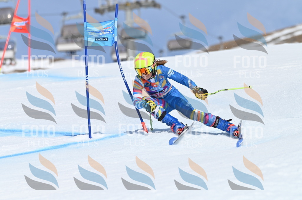 BGV_0377 | holidayphoto