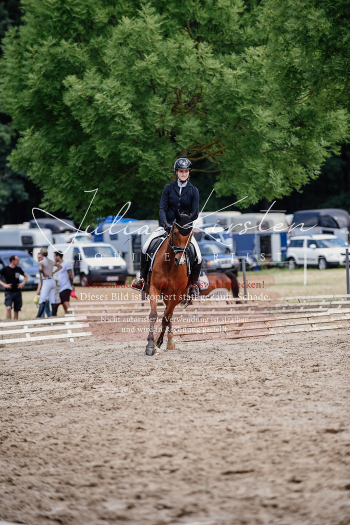 DSC_1792 | Pferde- und Turnierfotografie in Westsachsen. Pferdeportraits, Auftragszeichnungen und intuitive Kunst.