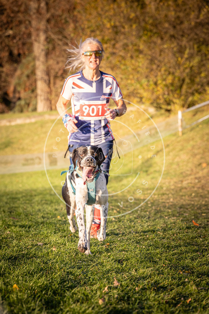 CaniXpix_0L8A1340 | Hundefotografie, Tierfotograf, Pfotenfotografie, Fotoshooting Hund, Hunde Portrait, Hundesport, Hundeportraits, Heideshooting, Hunde, Sportfotograf, Hundefotograf, Turnierhundsport, THS,  - Realisiert mit Pictrs.com