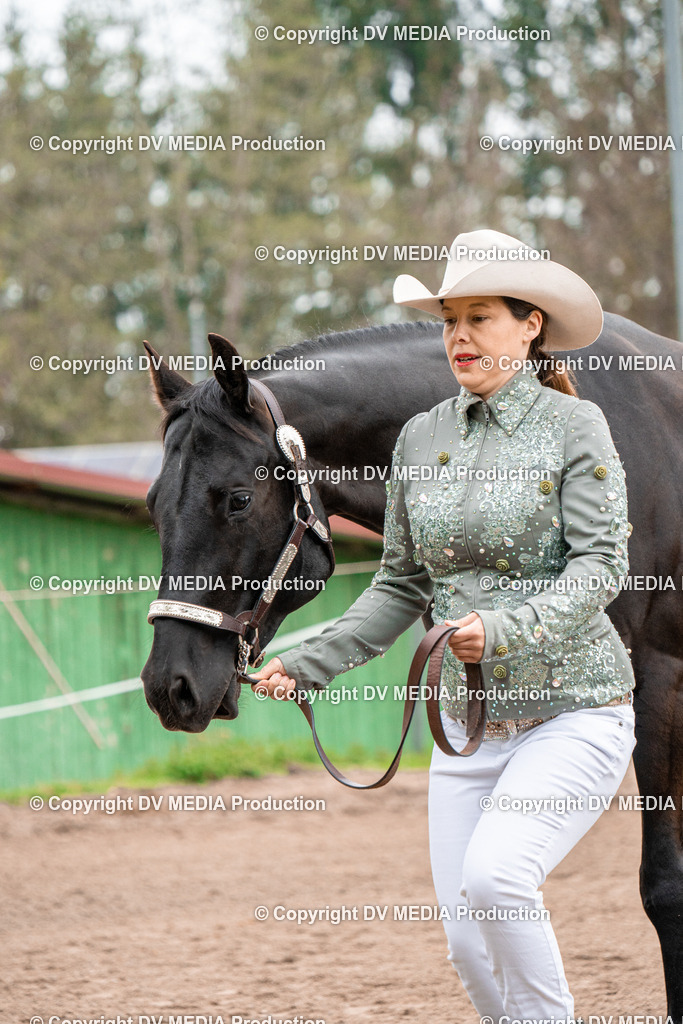 BA300181 | dv-media-shop - Realisiert mit Pictrs.com