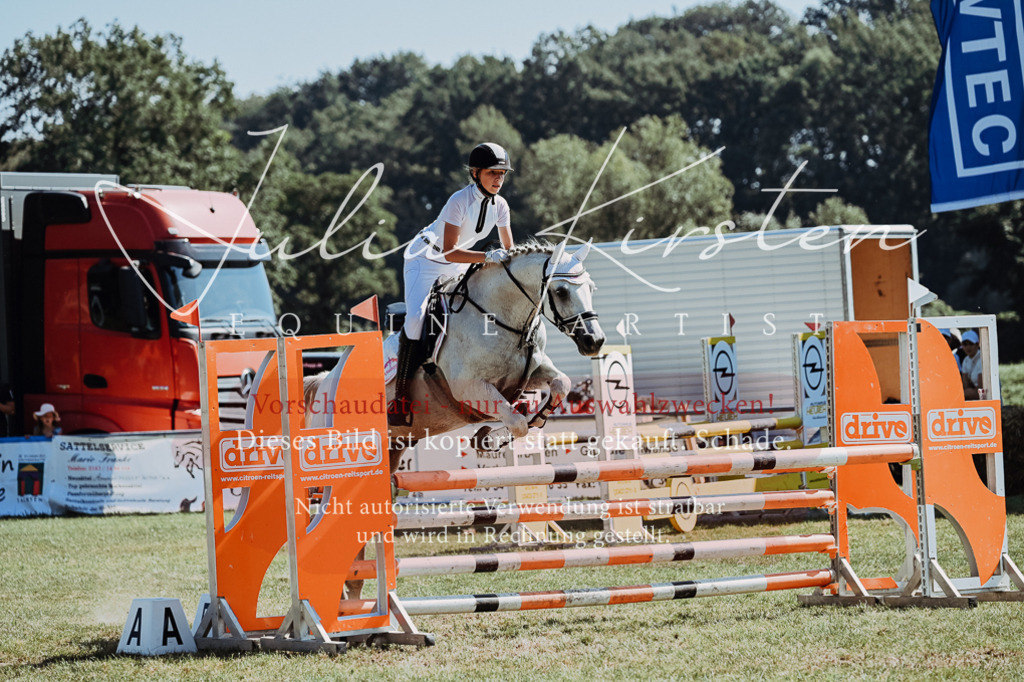 DSC_6084 | Pferde- und Turnierfotografie in Westsachsen. Pferdeportraits, Auftragszeichnungen und intuitive Kunst.