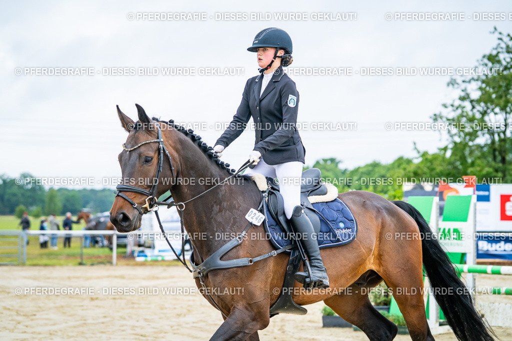 DSC02046 | Pferdegrafie