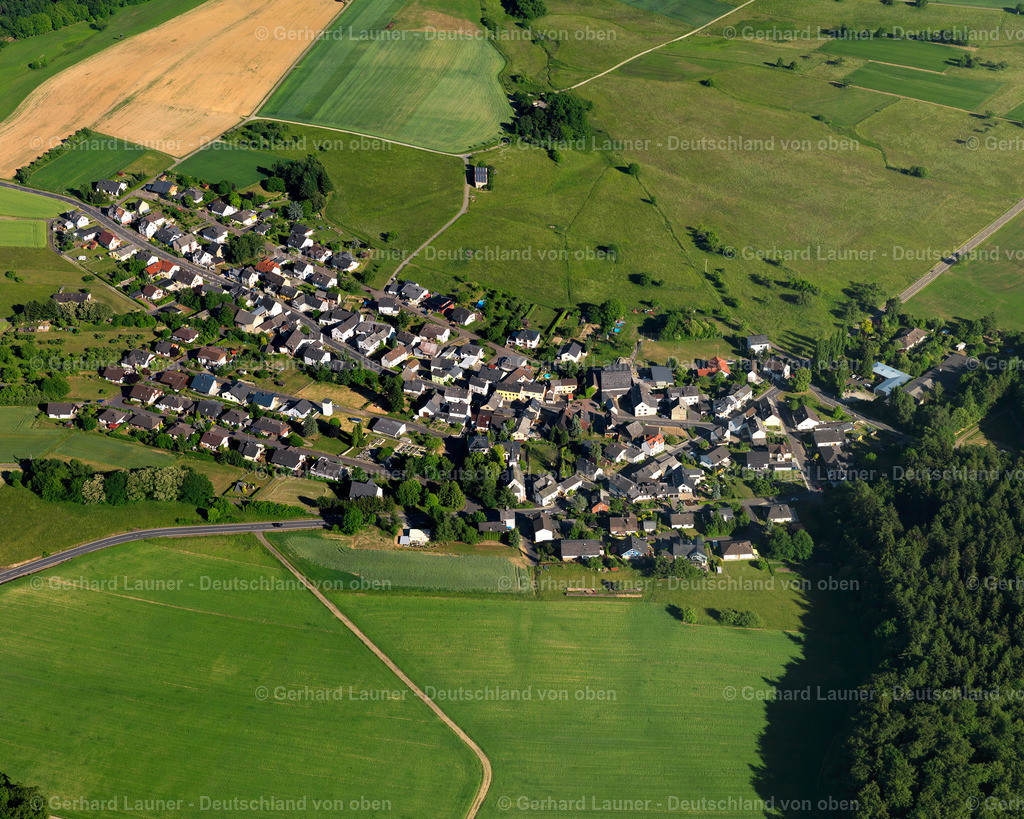 3126481 | Hirschberg