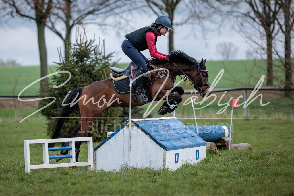 20260329-_3LI4617 | Tierfotografie Pferde, Hunde, Katzen, Haustiere.
Turnierfotografie Reitturniere, Reiten, Springreiten, Dressur in Hanau, dem Main-Kinzig-Kreis und dem Rhein-Main- Gebiet um Frankfurt