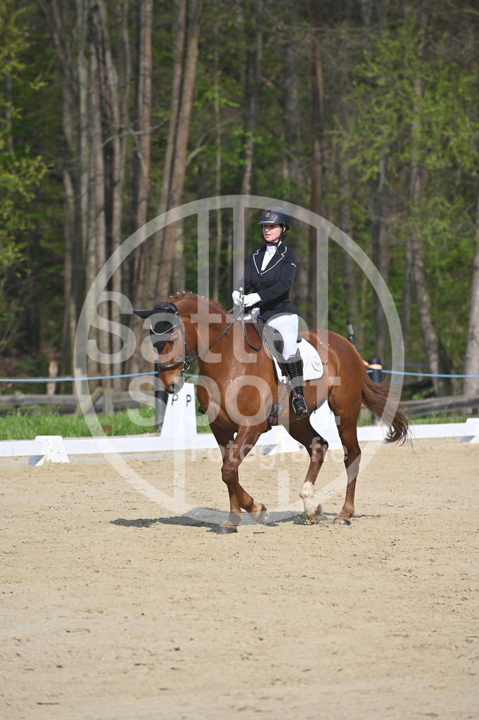 DSC_0395 | sattelsport - Realisiert mit Pictrs.com