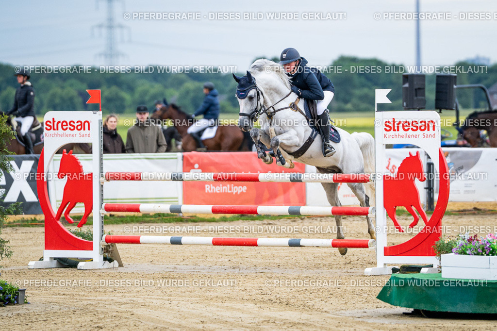 DSC04385 | Pferdegrafie