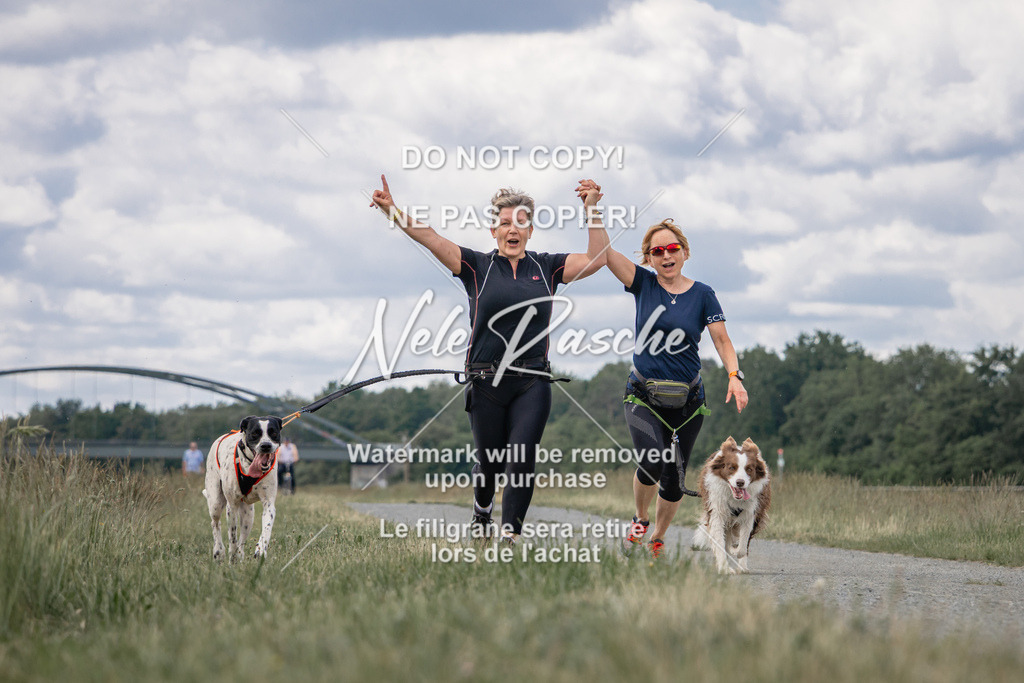nelerasche_BuHu2026_SaCC1100-1200_151 | nelerasche
