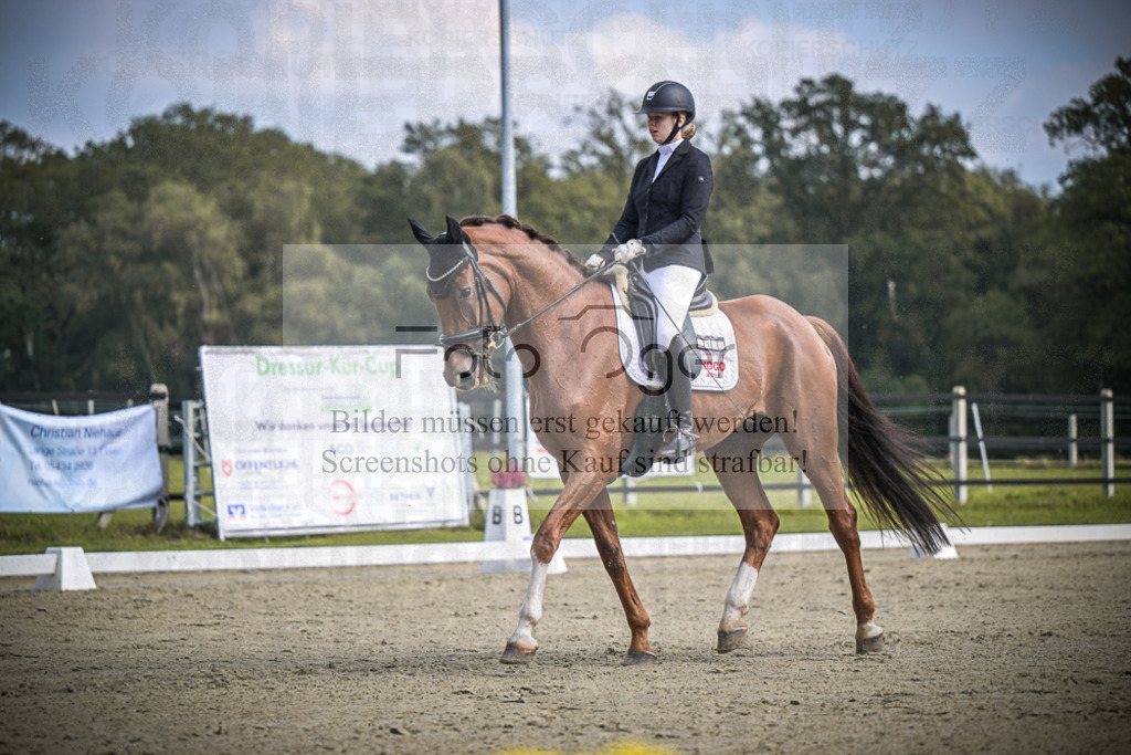 DOS_B658 | Entdecke hochwertige Reitturnierfotos von Foto Oger. Professionell, emotional und authentisch – jetzt Lieblingsmomente im Shop bestellen.Deutschlandweite Turnierfotografie. - Realisiert mit Pictrs.com