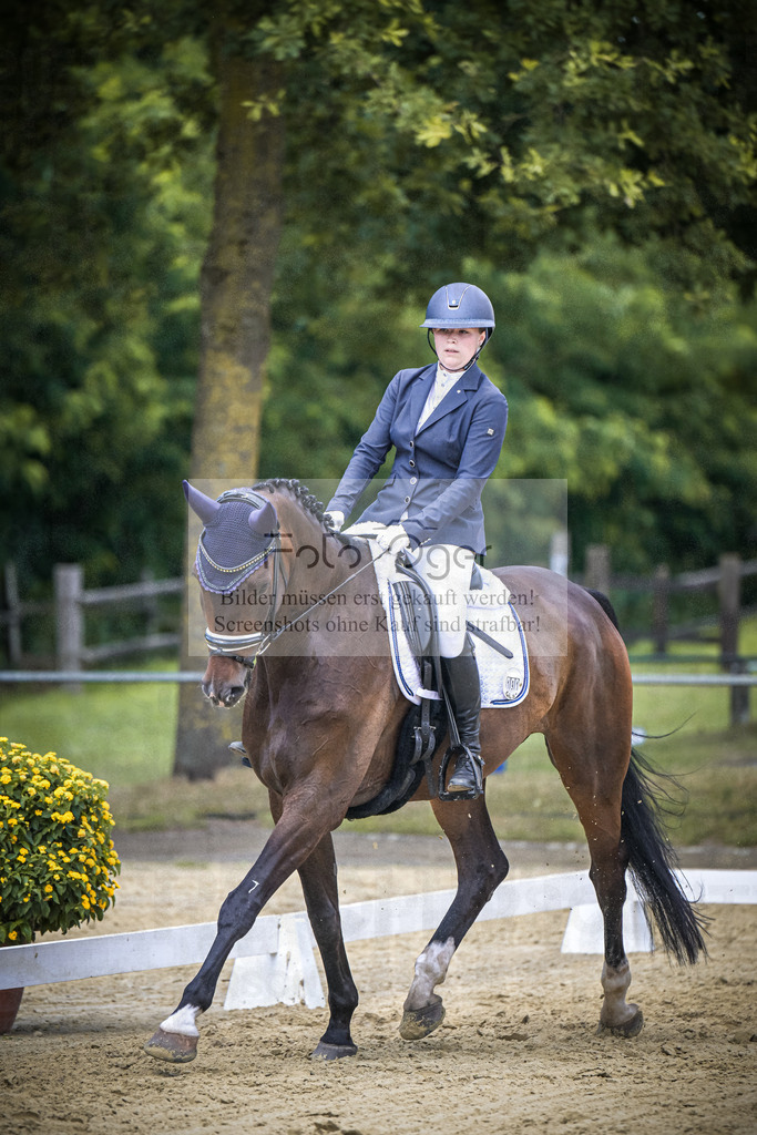 DOS_1172 | Entdecke hochwertige Reitturnierfotos von Foto Oger. Professionell, emotional und authentisch – jetzt Lieblingsmomente im Shop bestellen.Deutschlandweite Turnierfotografie. - Realisiert mit Pictrs.com