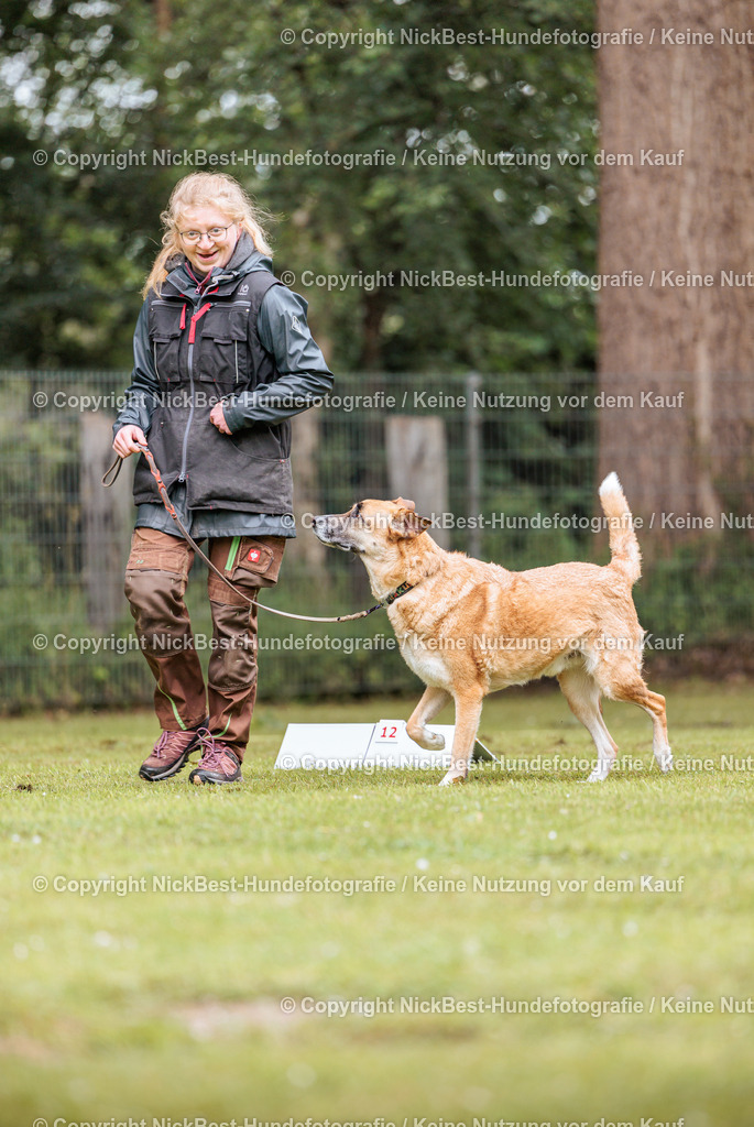 RO-Blumenthal-2026-Nickbest-Hundefotografie-1920 | Dein Hund! Dein Moment! Deine Erinnerungen! Hundefotografie in Bremen Blumenthal. Ich fange die besonderen Momente deines Vierbeiners ein – ob Indoor mit Blitzanlage oder in der freien Natur. Sicher dir dein Moment und dein Termin für eure Erinnerungen.