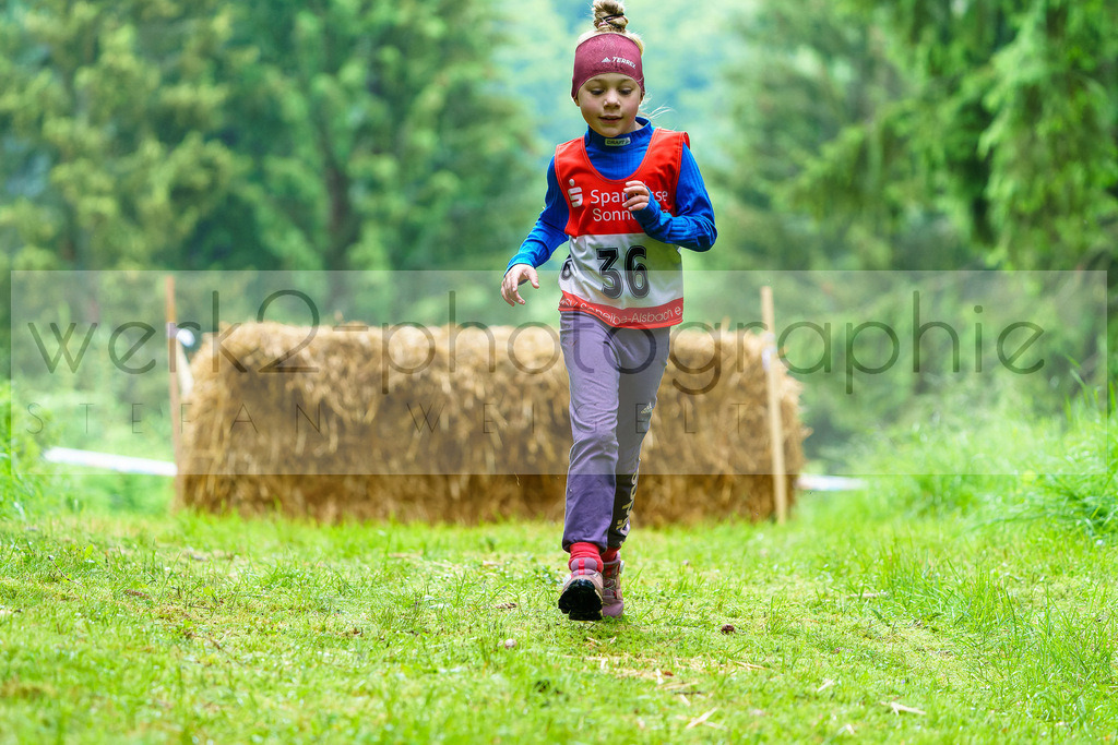 Hindernis-Cross Scheibe-Alsbach | Biathlonanlage "Am Rußtiegel" am 15. Juni 2024
