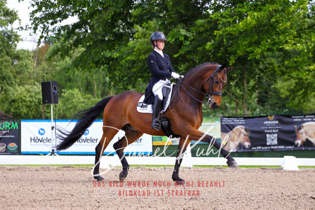DKP41693 | Deine Turnierfotos vom Reitturnier online kaufen: Dressur, Springen & Siegerehrung. Professionelle Pferdefotografie aus dem Rheinland – als Download & Print.Alternative: Turnierfotograf für den Pferdesport: Finde deine Fotos von Dressur- und Springturnier