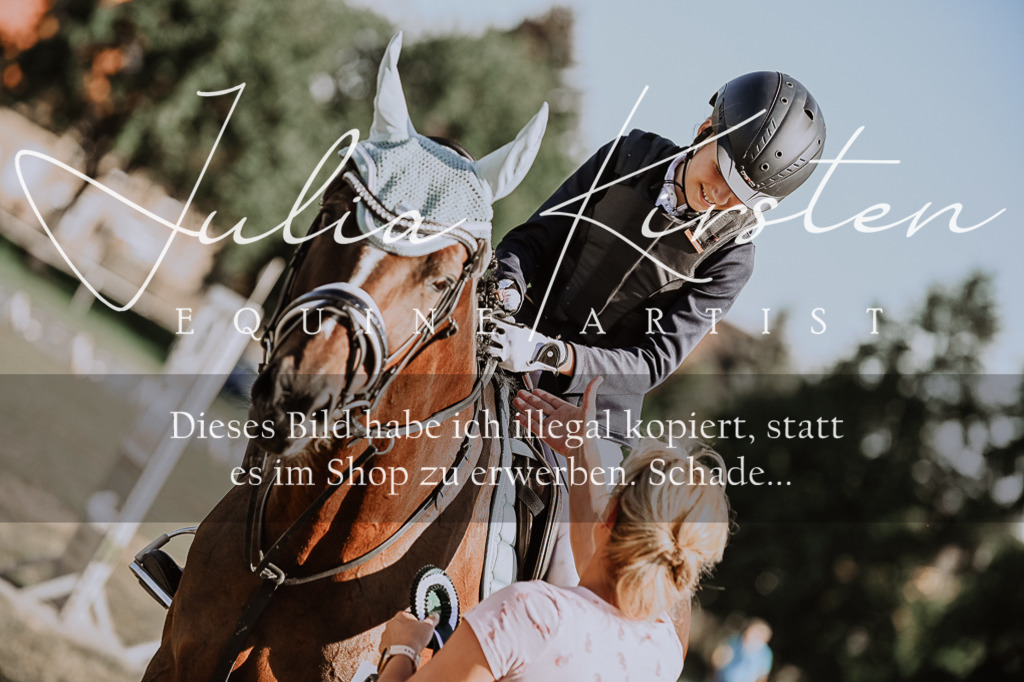 DSC_9522 | Pferde- und Turnierfotografie in Westsachsen. Pferdeportraits, Auftragszeichnungen und intuitive Kunst.