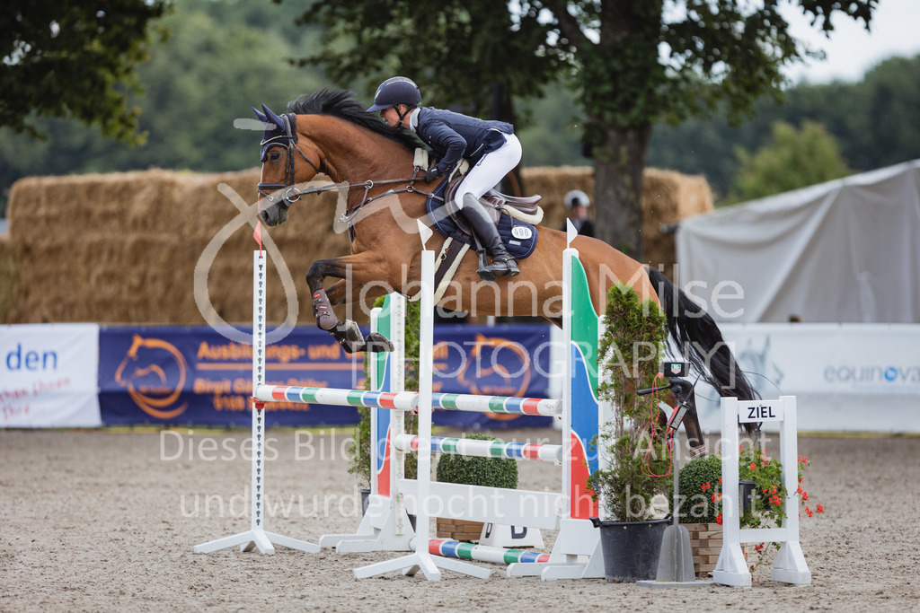 220705_Mühlen_SprPf-A3-314 | Late Entry Mühlen
05.07.2022
03 Springpferde-A**, 4-6jährige Pferde