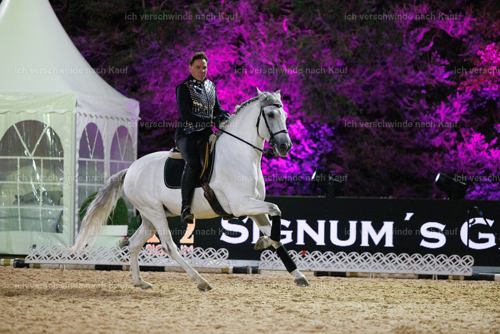 FHClassics-404 | working equitationturnier fotograf videograf stoibphotography marixx film working equitation deutschland reitsport turnierfotografie eventfotografie equestrian events